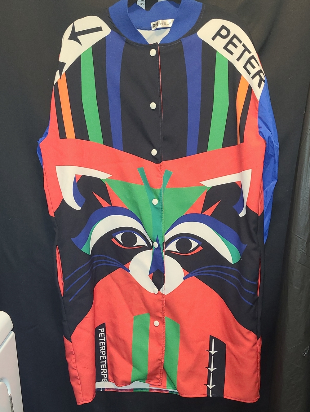 "Vintage Aesthetic Raccoon Bomber Jacket", "Colorblock Pop Art